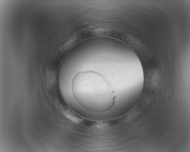 X0000078860278200611201321