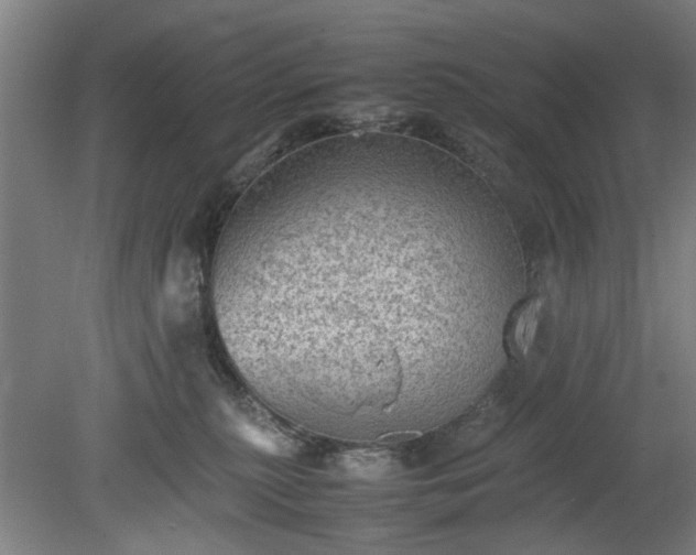 X0000078860279200611201321