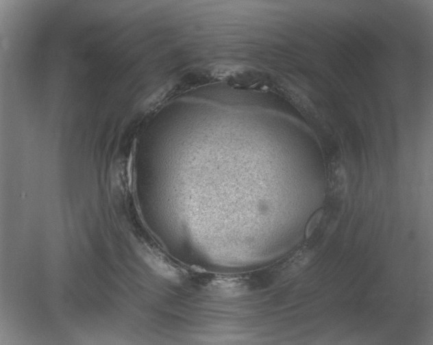 X0000078860280200611201321