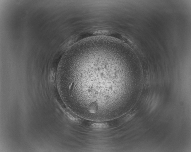 X0000078860281200611201321