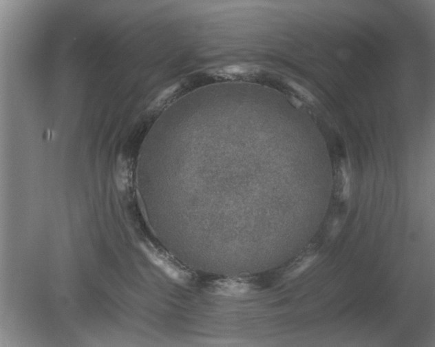 X0000078860284200611201321