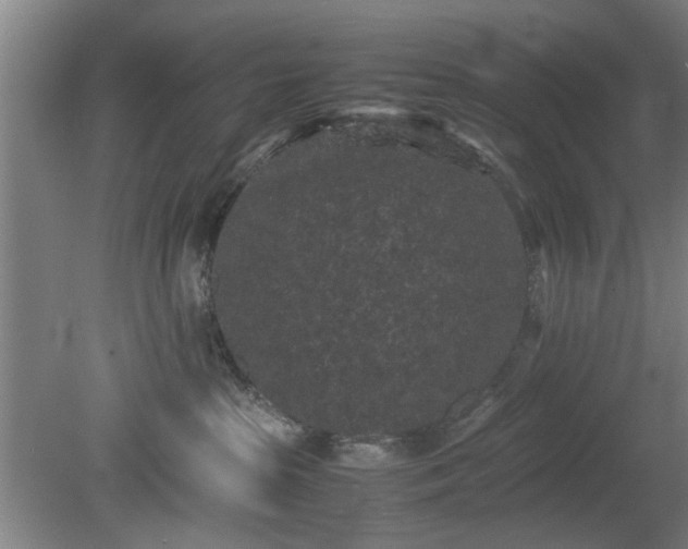 X0000078860285200611201321