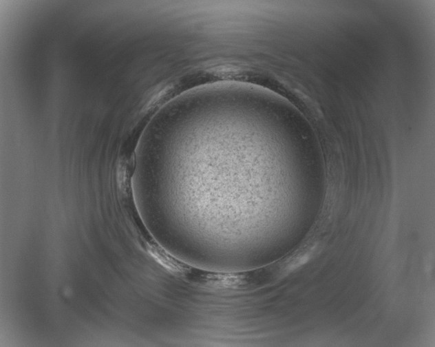 X0000078860288200611201321