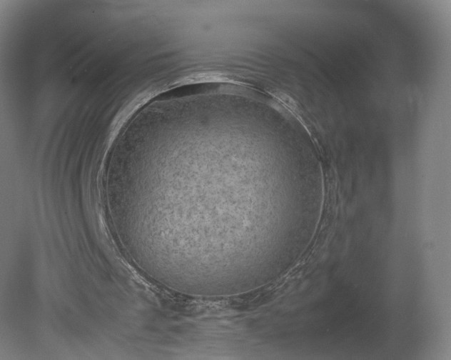 X0000078860289200611201321