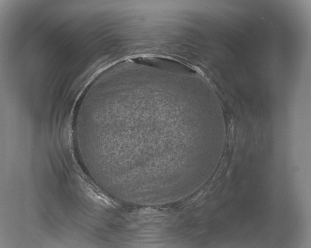 X0000078860290200611201320