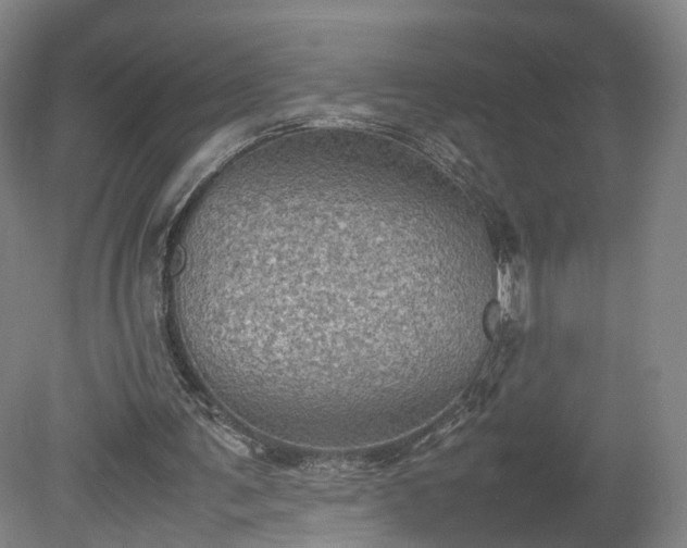 X0000078860291200611201320