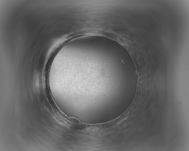 X0000078860294200611201320