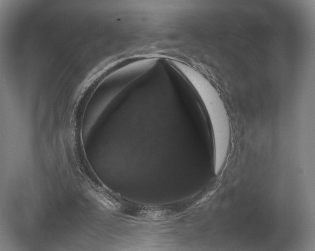 X0000078860295200611201320