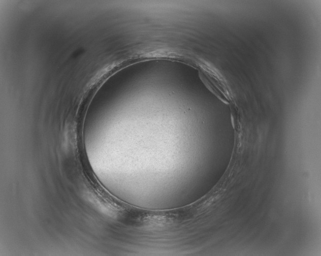 X0000078860298200611201320