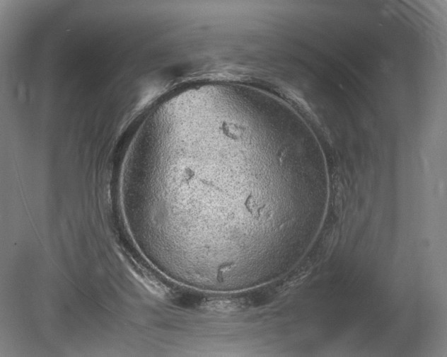 X0000078860299200611201320