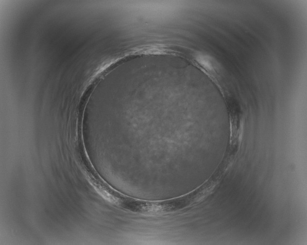 X0000078860301200611201320