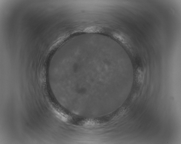 X0000078860303200611201320