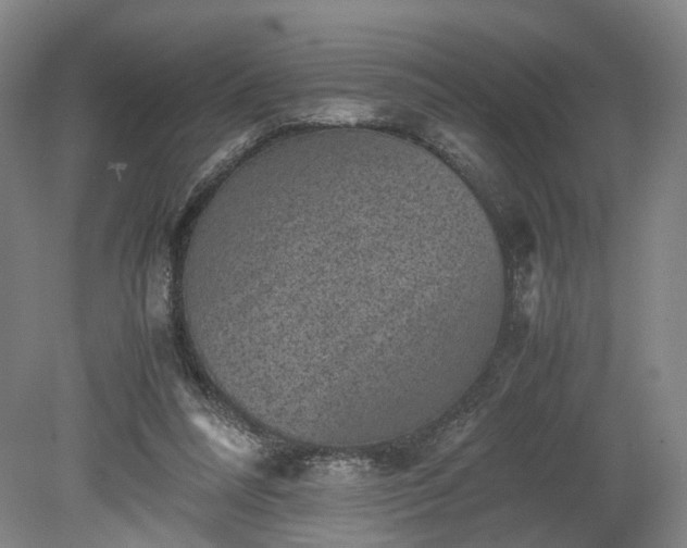 X0000078860304200611201320