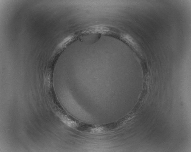 X0000078860309200611201320