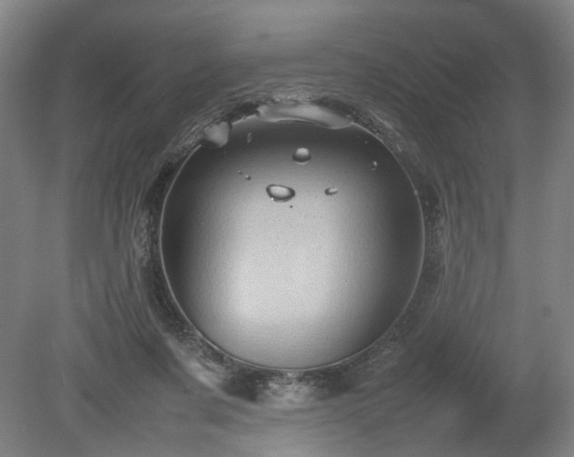 X0000078860311200611201320