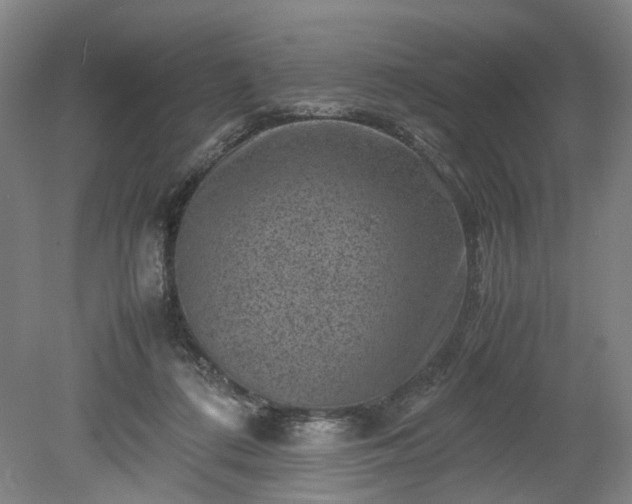 X0000078860312200611201320