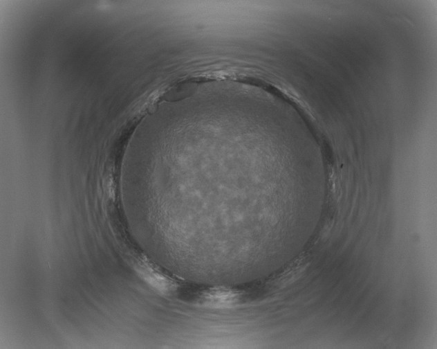 X0000078860313200611201320