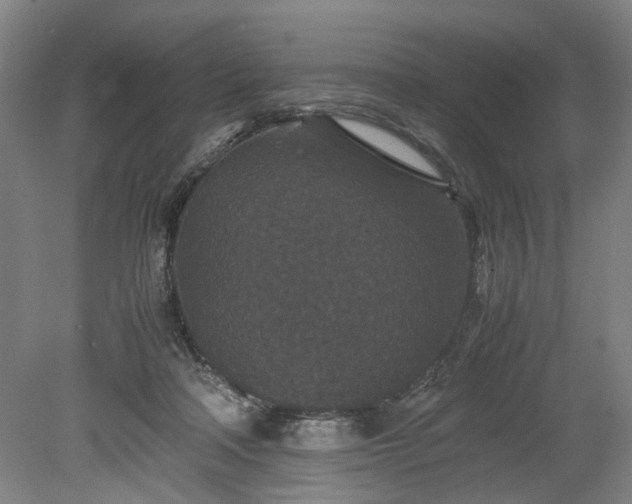 X0000078860314200611201320