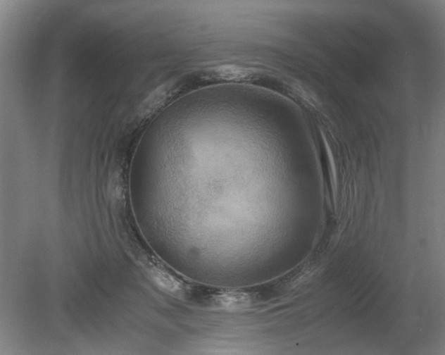 X0000078860317200611201320