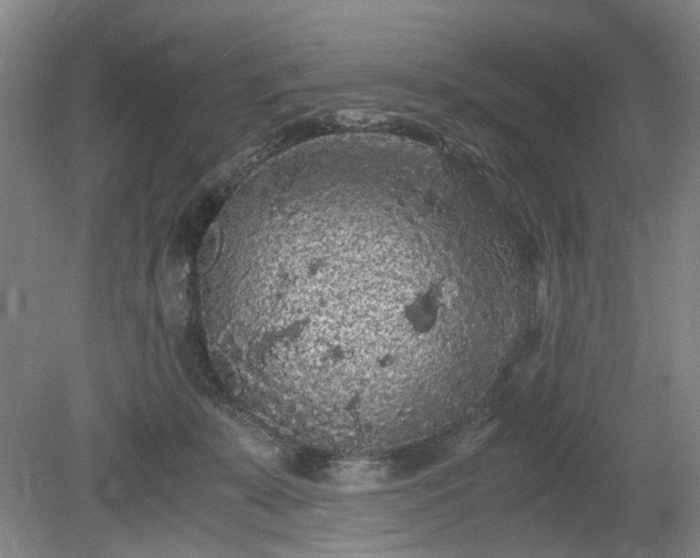 X0000078860319200611201320