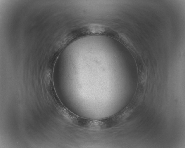 X0000078860321200611201320