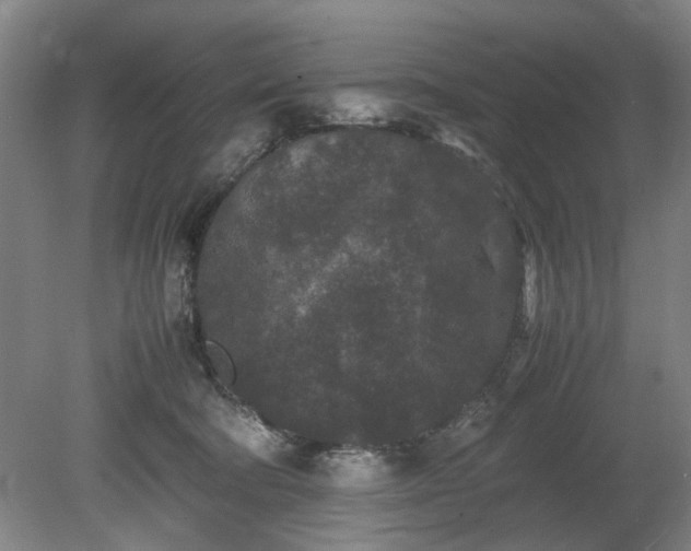 X0000078860322200611201320