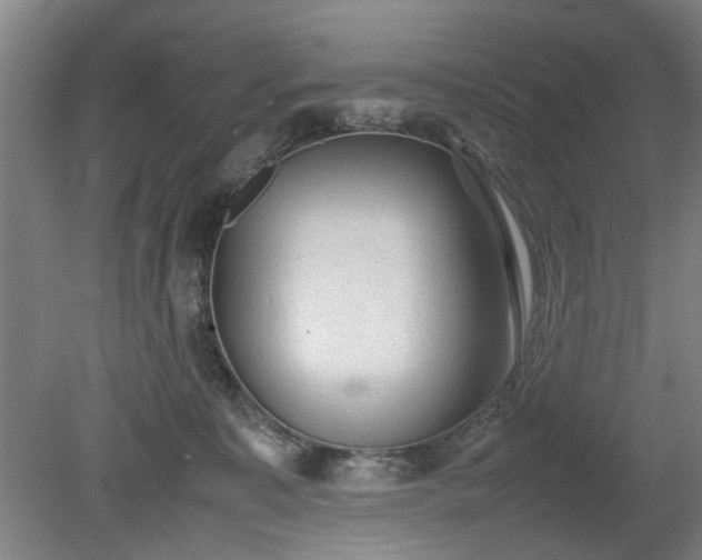 X0000078860323200611201320