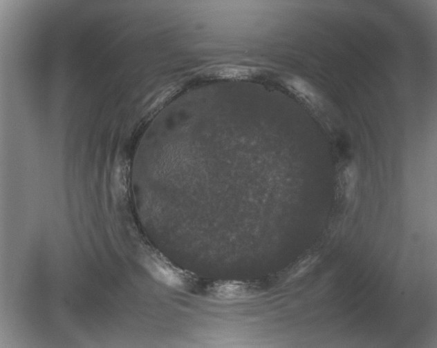 X0000078860325200611201320