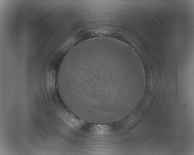 X0000078860328200611201320