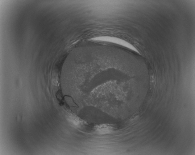 X0000078860331200611201320