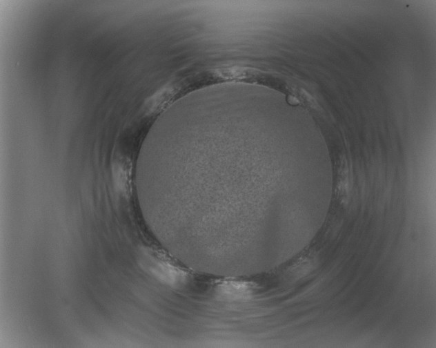 X0000078860332200611201320