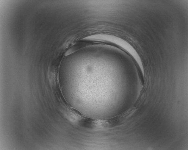 X0000078860333200611201320