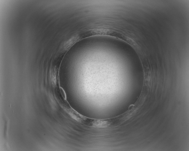 X0000078860334200611201320