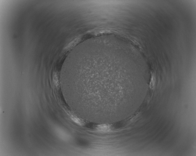 X0000078860335200611201320