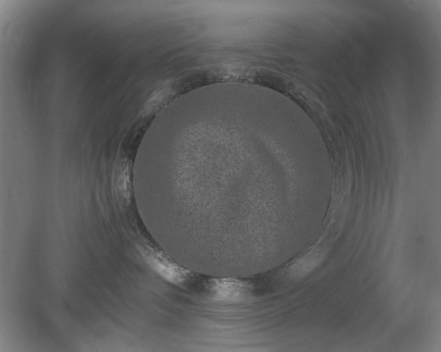 X0000078860336200611201320