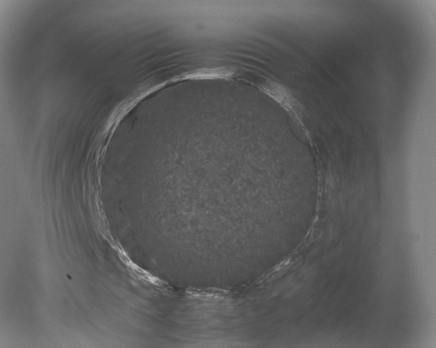 X0000078860337200611201319