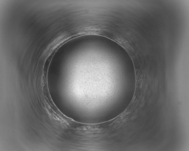 X0000078860338200611201319