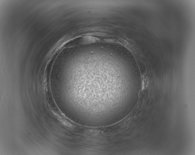 X0000078860339200611201319