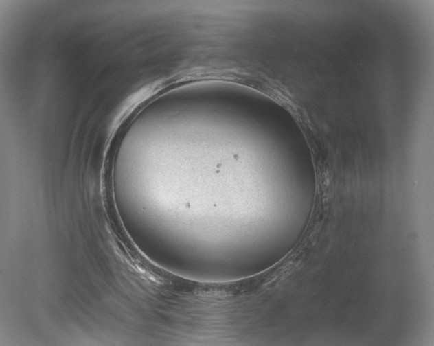 X0000078860340200611201319