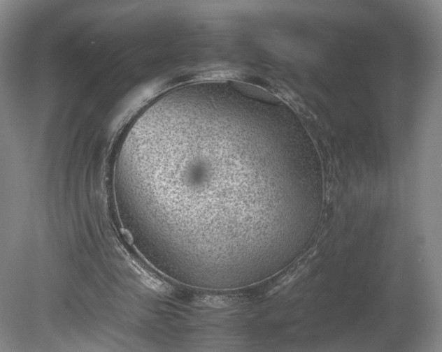 X0000078860341200611201319