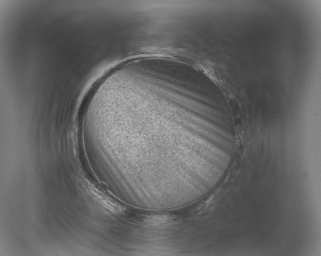 X0000078860342200611201319