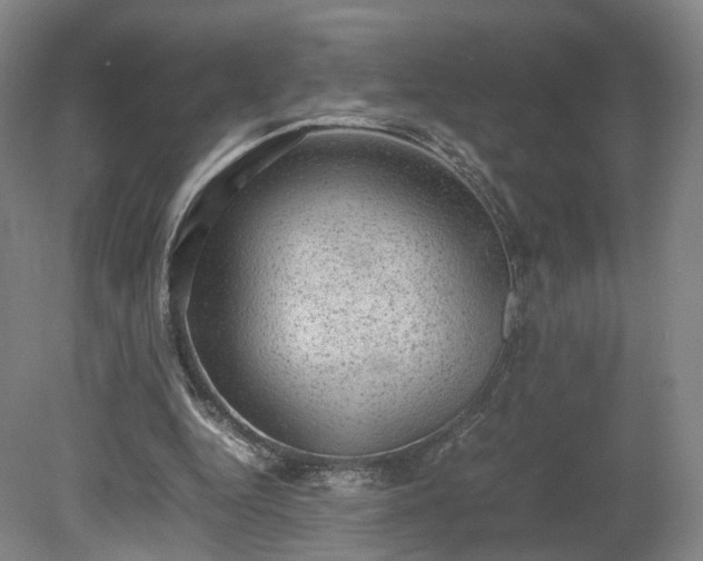 X0000078860344200611201319