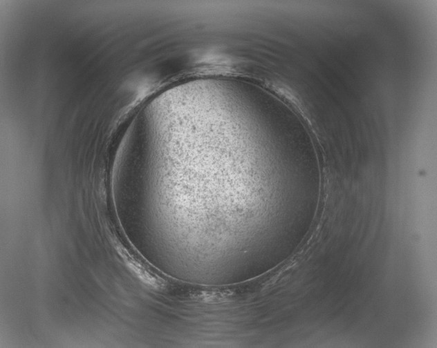 X0000078860345200611201319