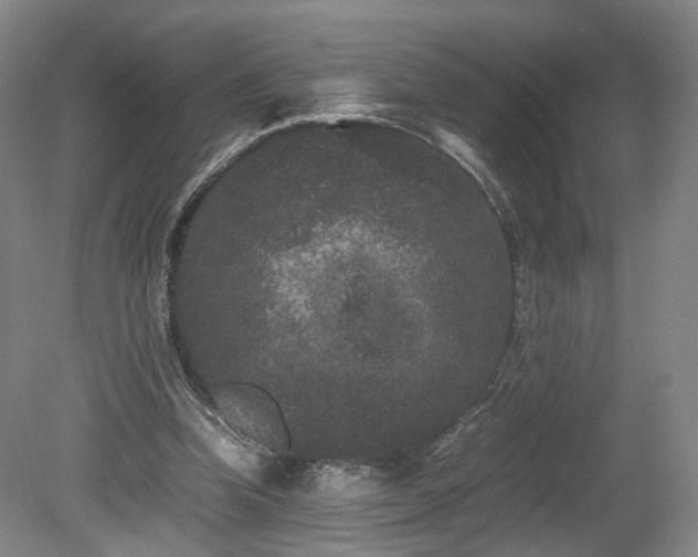 X0000078860346200611201319