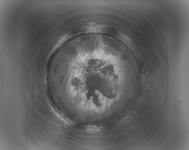 X0000078860347200611201319