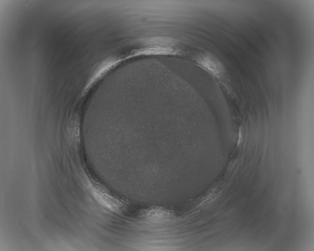 X0000078860348200611201319