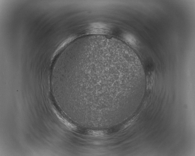 X0000078860349200611201319