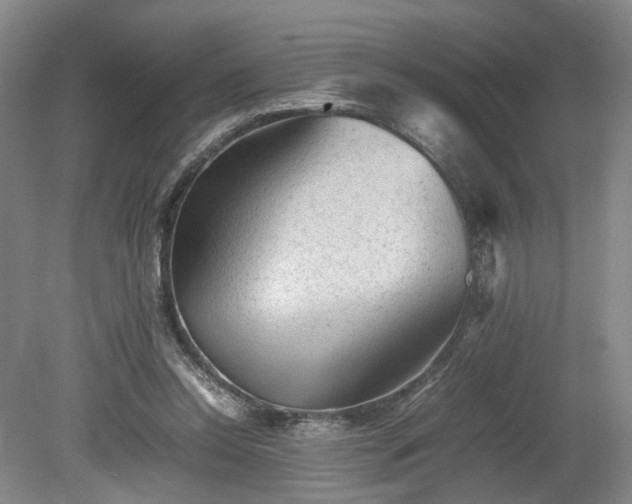 X0000078860350200611201319