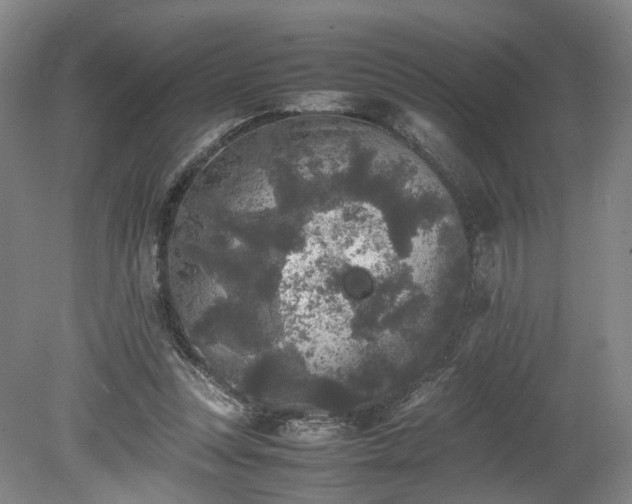 X0000078860351200611201319