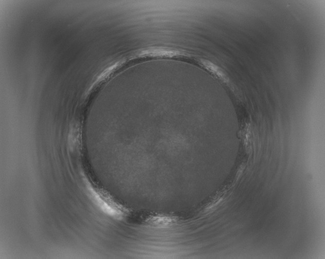 X0000078860352200611201319